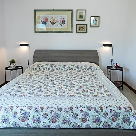 Blitz - Regarda Travel Λατζίζε